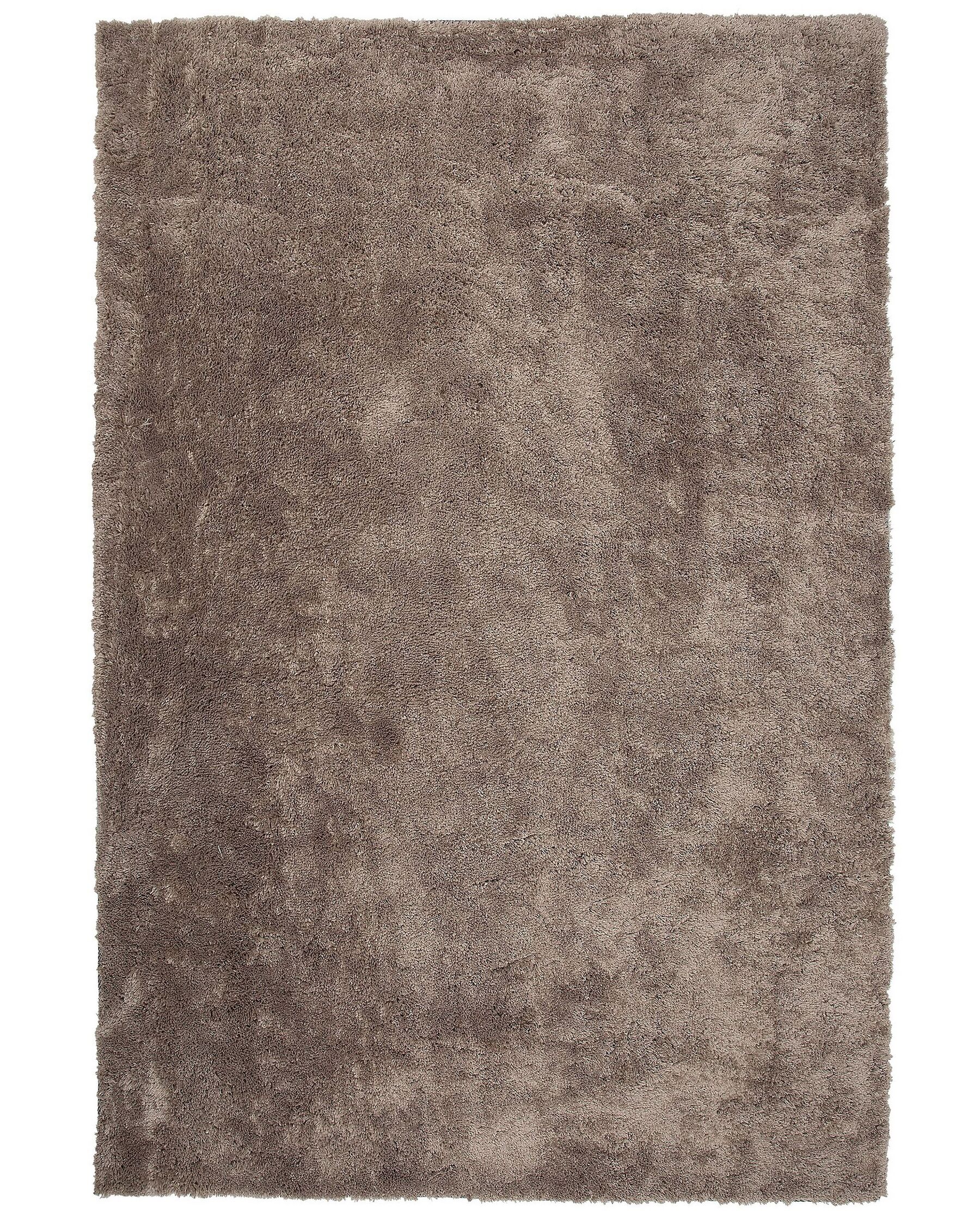 Shaggy Area Rug 200 x 300 cm Light Brown Evren