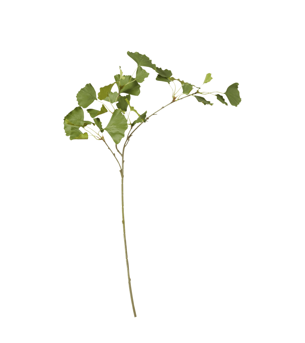 Faux Ginkgo Leaf Stem – Green